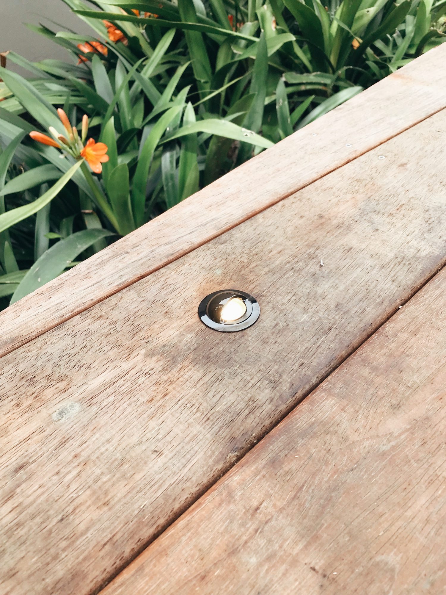 home-garden-lighting-auckland